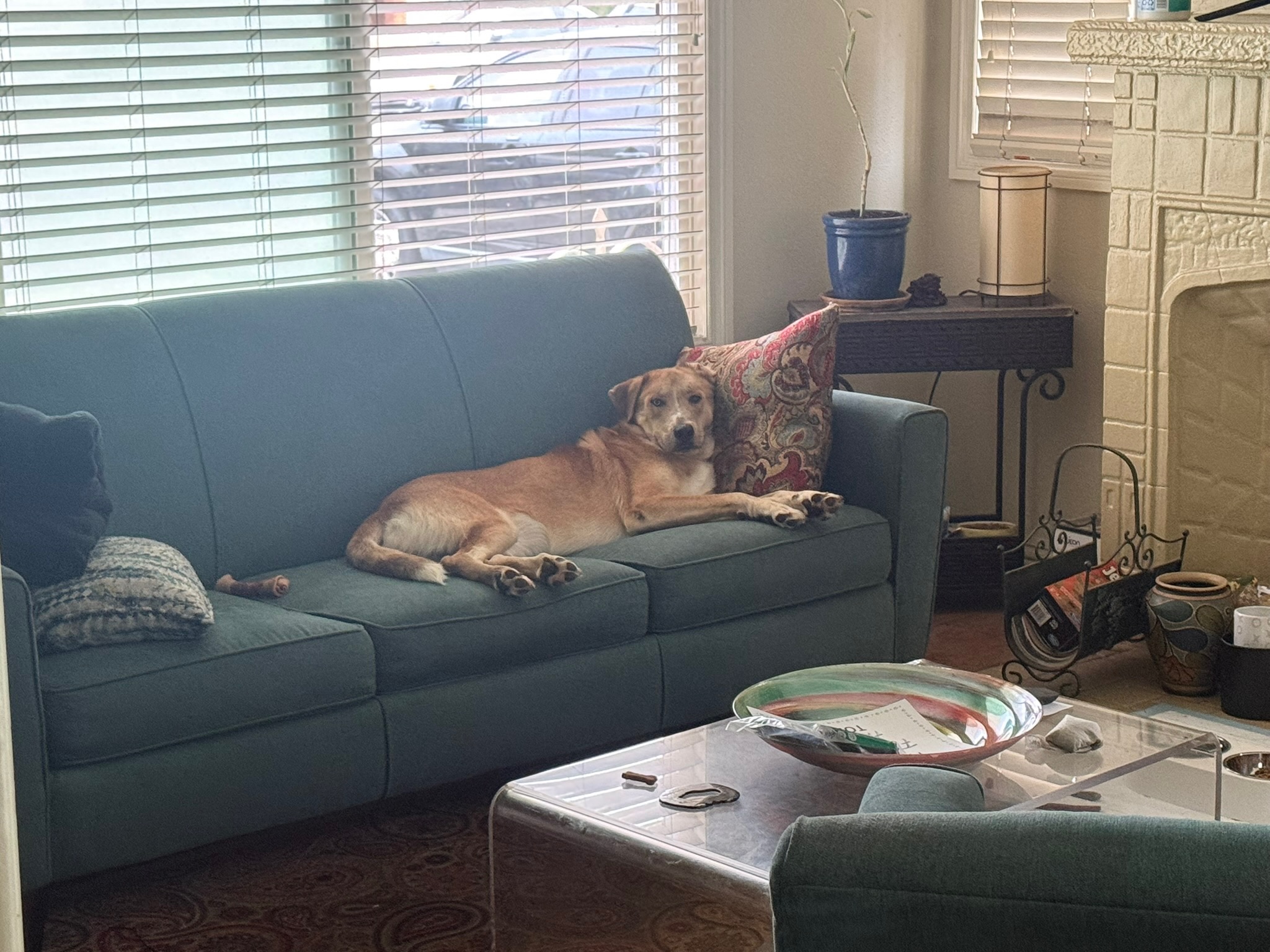 Adult Uncle Ruckus stretched across a teal couch